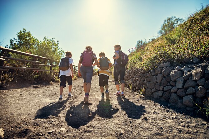 Pompeii and Vesuvius Wine Tasting Private Tour - Vesuvius crater climb: what you gain (and what it costs)