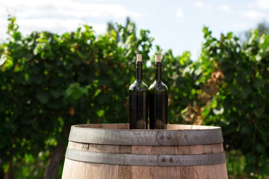 Pompeii: Archaeological Ruins Tour with Lunch - Lunch and wine tasting at a farm-to-table venue: where the day turns tasty