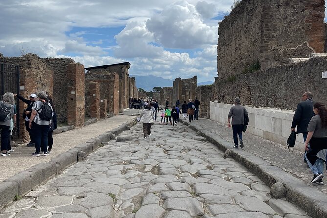 Pompeii Guided Tour from Naples with Transport and Entrance Included - Your Pompeii time: 2 hours guided inside the park