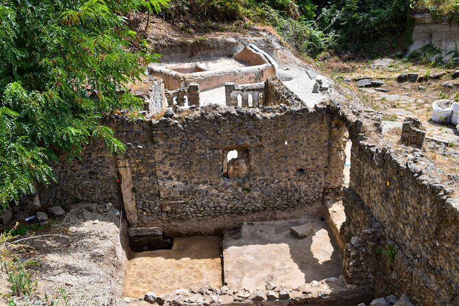 Pompeii Guided Tour & Lunch with Superior Wine Tasting - Pompeii in 2 Hours: how the guided walk pays off