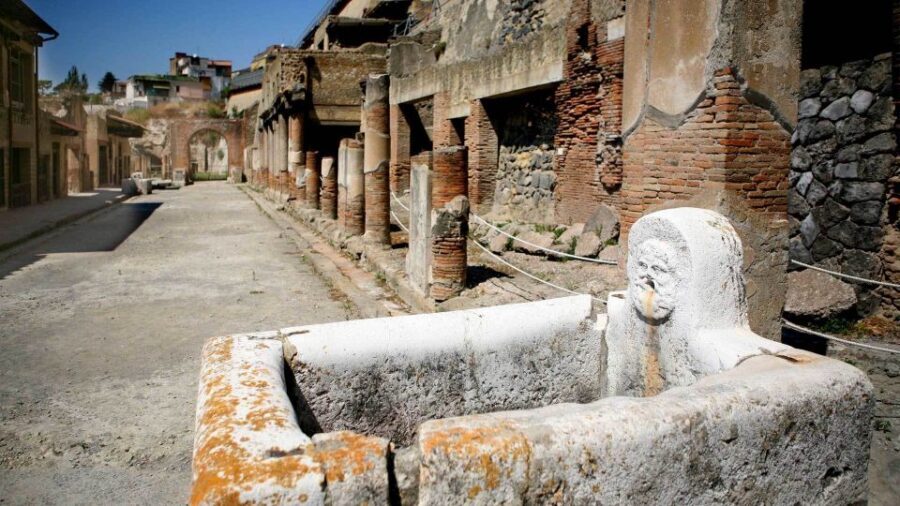 Pompeii Guided Walking Tour – Skip-the-Line Priority Access - The Forum: Basilica, Jupiter, and Apollo in a 2-hour focus