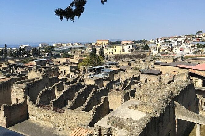 Pompeii, Herculaneum & Wine Tour, with Licensed Guide included - From Sorrento to Vesuvius: how pickup and rides shape the day