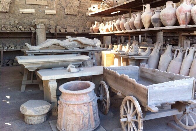 Pompeii, Herculaneum & Wine Tour, with Licensed Guide included - Private driver logistics: the little things that prevent stress