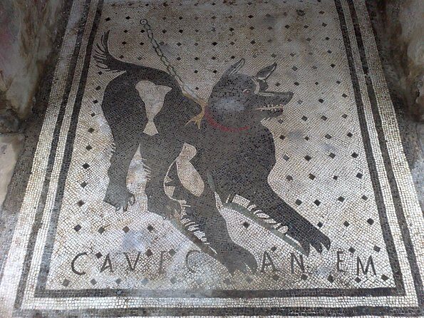 Pompeii Positano and Sorrento shared excursion with Pompeii skip the line entry - Tips to make the most of your Pompeii, Sorrento, and Positano day