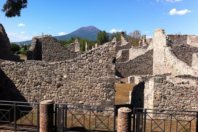 Pompeii Private Half-Day Tour from: Naples,Sorrento, Amalfi Coast - What Makes the Private Guide Time Worth It