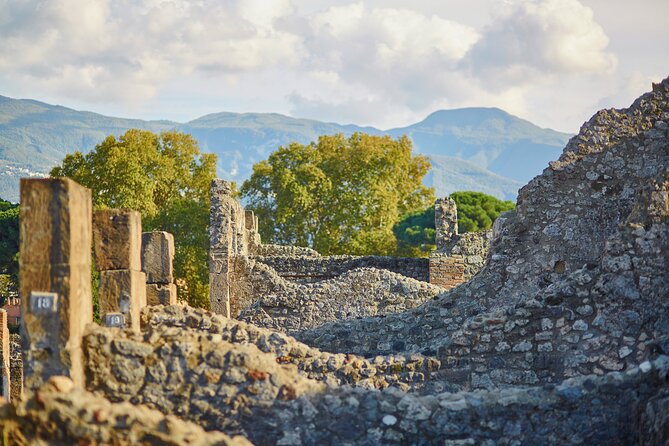 Pompeii Private & Personalized Tour with archeology expert guide - Practical tips before you go (so the day runs smoother)