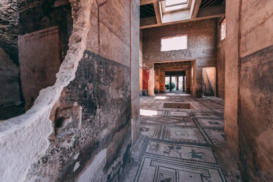 Pompeii: Private Tour with an Archaeologist - House of the Faun and the “bigger picture” of domestic Pompeii