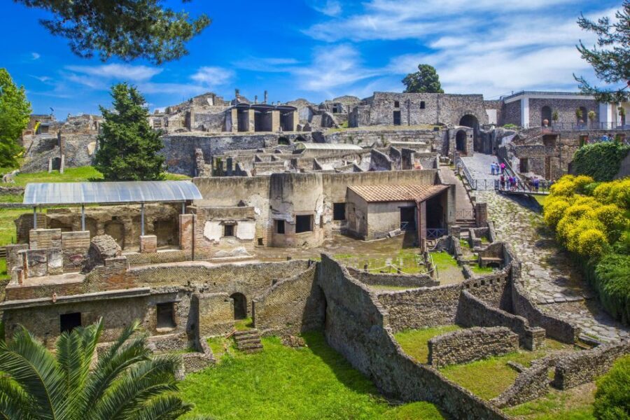 Pompeii: Private Tour with Hotel Pickup and Entry Ticket - Van Ride Considerations: Comfort, Timing, and Energy