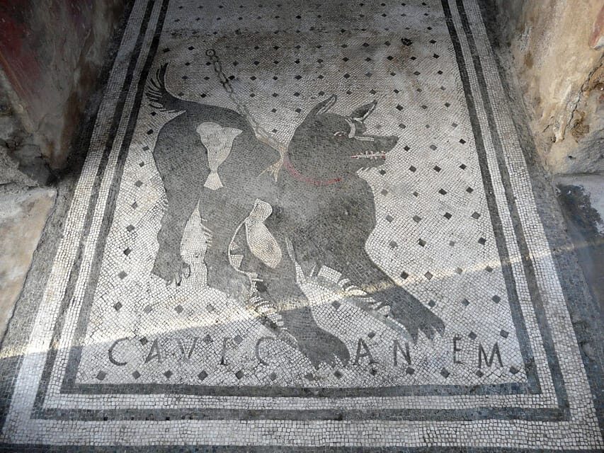 Pompeii: Skip-the-Line Entry & Audioguide - How the Audioguide Helps You See Pompeii Without Being Tethered