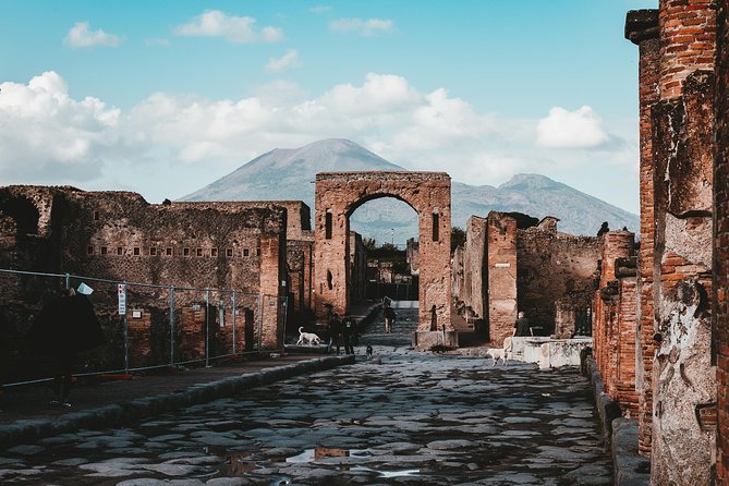 Pompeii Skip-the-Line Entry & Guided Tour with a certified guide - Stop 4: Casa del Fauno and the Alexander mosaic copy