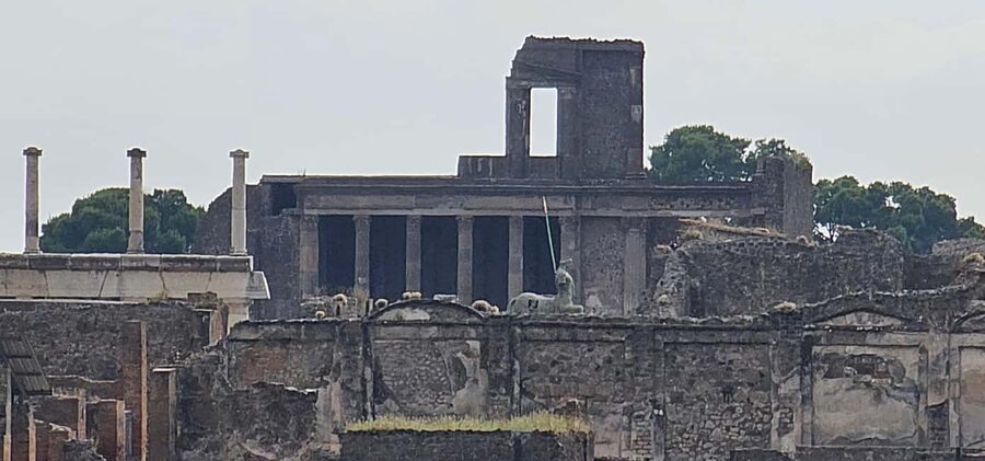 Pompeii, skip-the-line ticket with smartphone audio guide on App - Should You Book This Pompeii Experience?