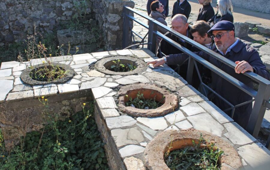 Pompeii: Skip-the-Line Tickets and Tour with Archaeologist - Should You Book This Archaeologist-Led Pompeii Tour?