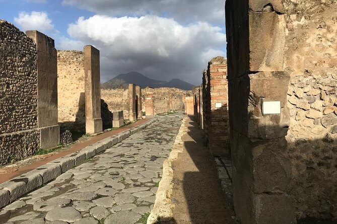 Pompeii Small Group Guided Tour with Skip-the-line Admission - The famous houses: House of Menander, Faun, Vettii, and more