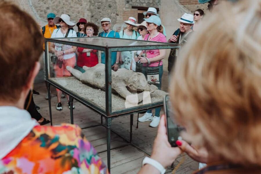 Pompeii Small Group Tour with transportation from Naples - The minibus ride to Pompeii: 30 minutes of travel you can plan around
