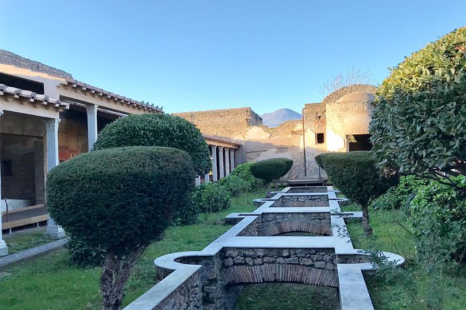 Pompeii Tour & Admission included in a Small Group - The Forum’s buildings and baths: where business met daily routine