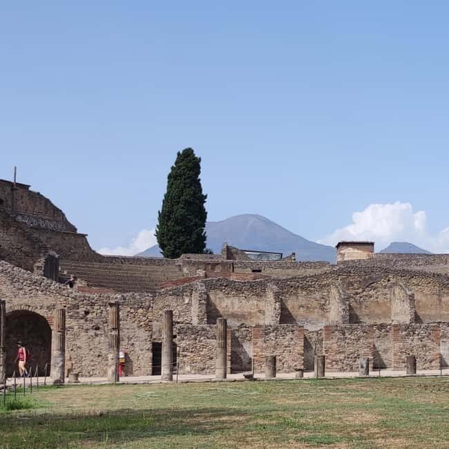 Pompeii Tour with Archaeological Expert and Lunch - Who this Pompeii tour is best for