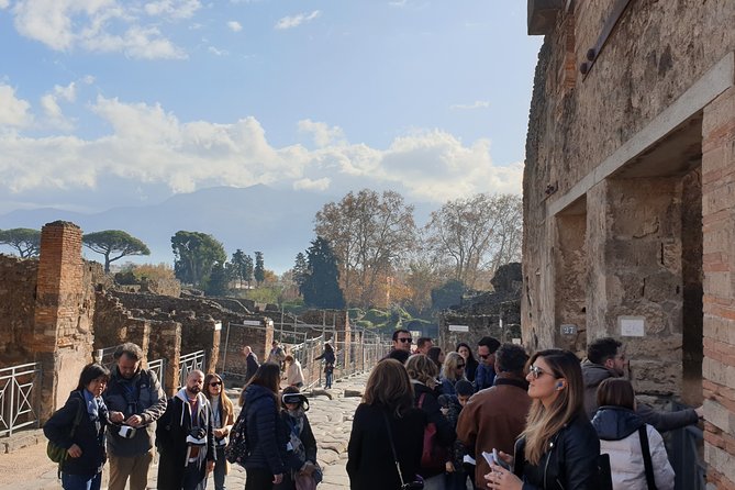 Pompeii tour with entrance ticket! - Entrance Ticket Reality: What You Still Need to Plan