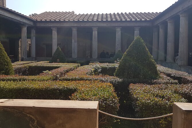 Pompeii Tour with experienced guide - Entering Pompeii the Way It Was Meant to Be Understood