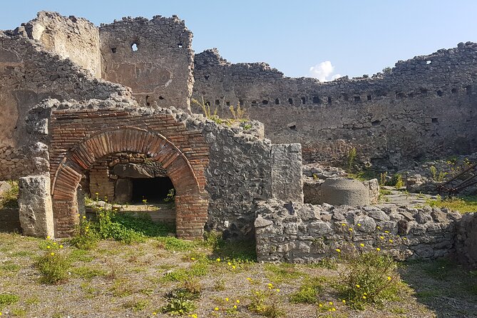 Pompeii Tour with experienced guide - Practical Tips So You Don’t Waste Time