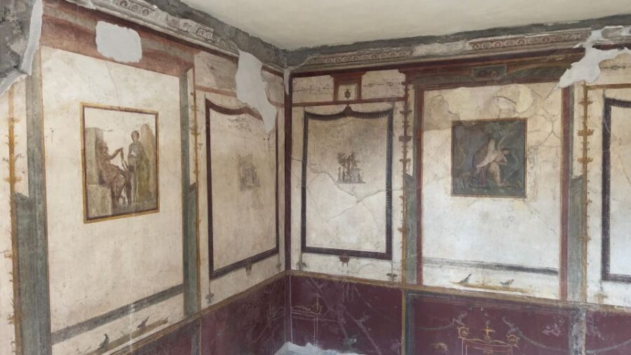 Pompeii-Vesuvius & Winery All Inclusive Tour From Positano - Key highlights you’ll feel in your day