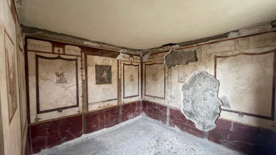Pompeii-Vesuvius & Winery All Inclusive Tour From Positano - Pacing, lunch, and what the day feels like