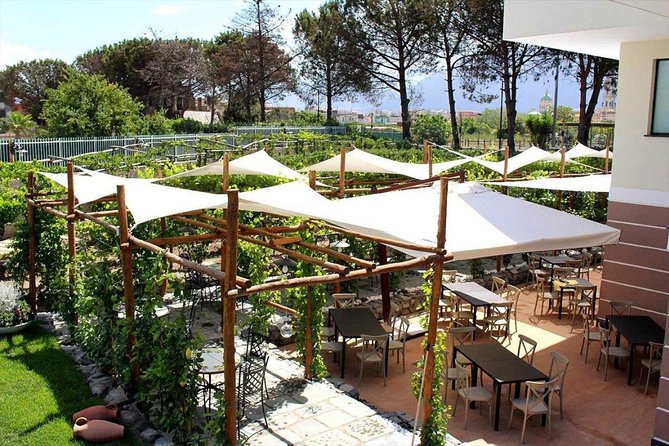 Pompeii & Vesuvius with Lunch & Wine Tasting from Amalfi Coast - Who this tour is best for (and who should skip it)
