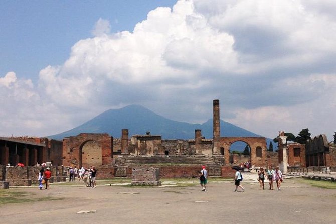 Pompeii Walking Tour with a licensed Guide - Price and logistics: what the $98.42 buys you