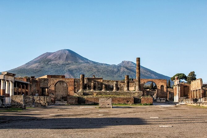 Pompeii & Wine Tasting : Private Day Trip from Naples - Who this private Pompeii and wine trip is best for