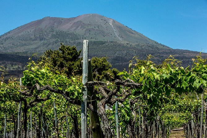 Pompeii with Wine Tasting and Lunch from Naples - Heat, Crowds, And Comfort Tips From Day-of Realities
