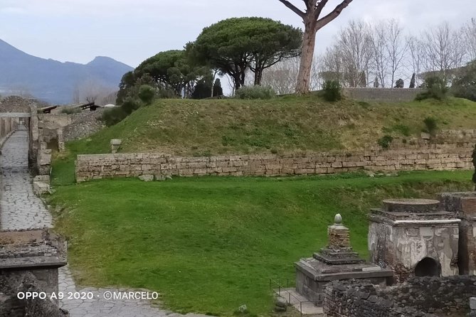 Private Archaeologist service to explore Pompeii's secrets any time ticket incl. - Price and logistics: does $144.03 per person make sense?