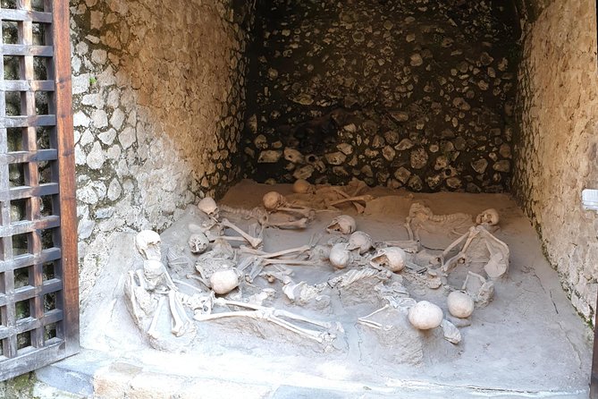 Private Day Tour to Vesuvius, Herculaneum & Pompeii with Pick Up - The guide upgrade: when it turns into real understanding