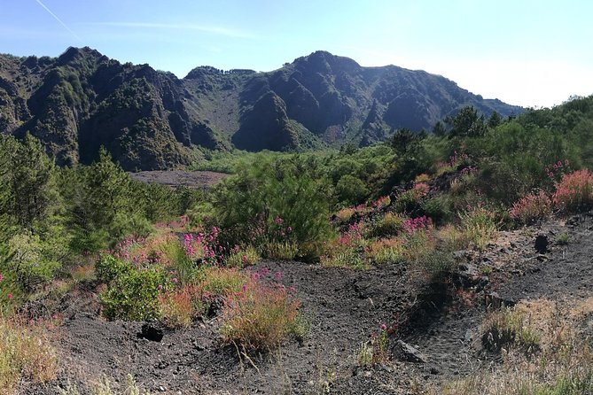 Private Day Tour to Vesuvius, Herculaneum & Pompeii with Pick Up - What to wear and bring for ruins plus a volcano hike