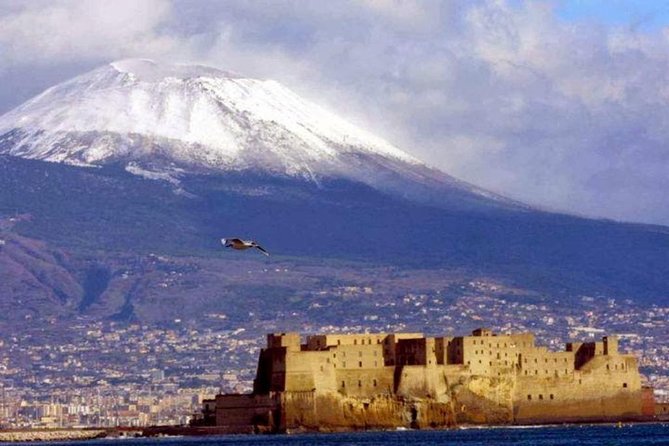 Private Full-Day Tour to Pompeii and Mt. Vesuvius with Winery Visit - Why this Naples day works so well