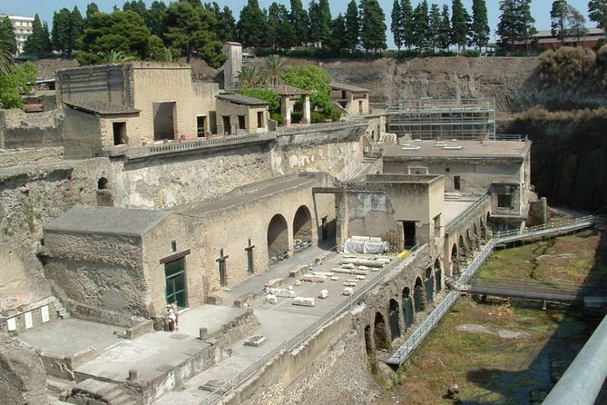 Private Full-Day Tour to Pompeii and Mt. Vesuvius with Winery Visit - Who should book this Pompeii and Vesuvius with winery tour?