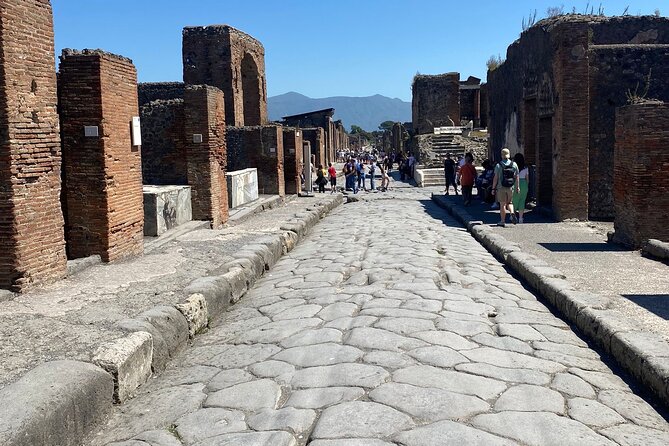 Private Guided Tour of Pompeii Excavations - Pompeii, in Two Hours: What This Private Guide Actually Helps With