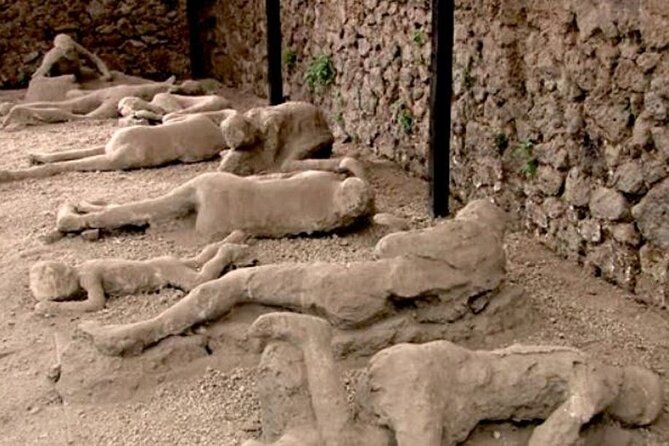Private Guided Tour to Pompeii and Positano from Rome - Price and Value: Is $479.36 Worth It?