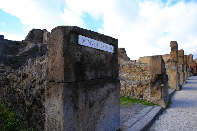Private Half-Day Tour of The Pompeii Ruins Highlights and Mann - Meeting at Coffee Shop Vittoria Via Mare, then finishing at Piazza Museo