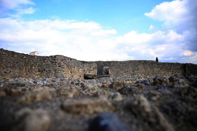 Private Half-Day Tour of The Pompeii Ruins Highlights and Mann - Naples museum: where Pompeii’s colors and details come back