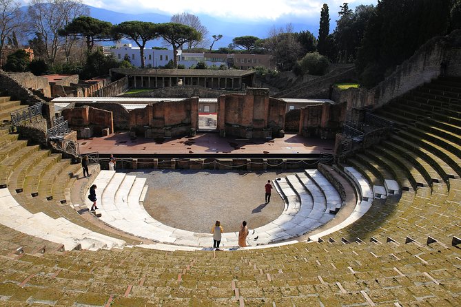 Private Half-Day Tour of The Pompeii Ruins Highlights and Mann - Pompeii Archaeological Park: your quick orientation to the city
