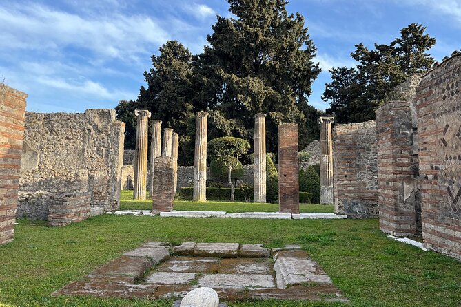 Private Half Day Tour to the Ruins of Pompeii - Pompeii in half a day: what you’re really buying