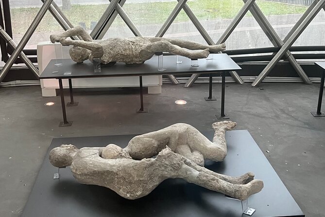 Private Half Day Tour to the Ruins of Pompeii - Tickets, guides, and why context can change the experience
