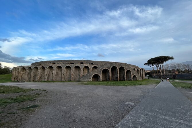 Private Half Day Tour to the Ruins of Pompeii - Optional lunch and Vesuvian wine tasting: plan extra hours