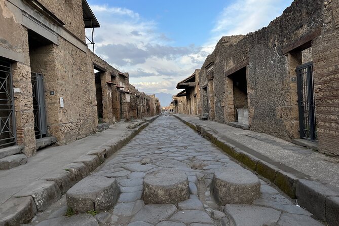 Private Half Day Tour to the Ruins of Pompeii - Price and logistics: is $220.35 per person fair value?