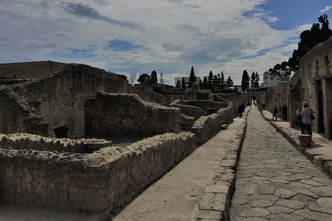 Private Herculaneum Tour for Kids and Families - Homes, Shops, and Roman Baths: What Kids Actually Notice