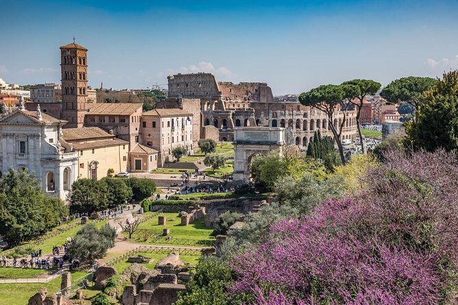 Private Immersive Colosseum Tour - The value of a private Colosseum + Forum route (and who it suits)