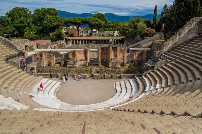 Private Pompeii Tour with Archaeologist & Winery on Mt Vesuvius - A Forum-focused Pompeii day that still feels relaxed