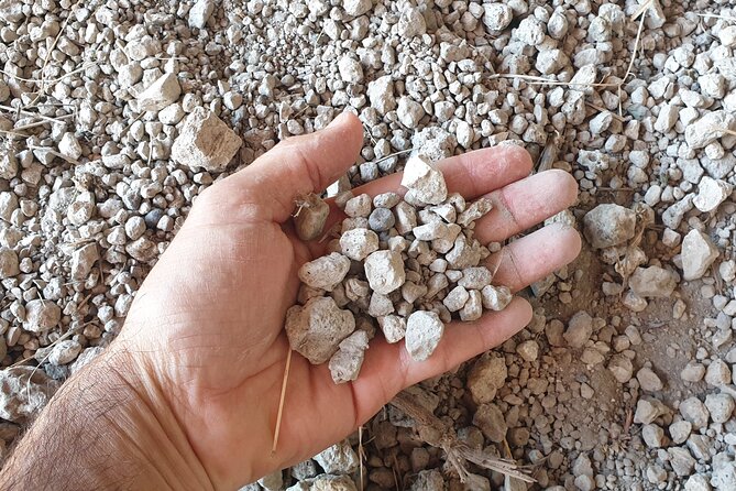 Private Pompeii Tour with Archaeologist & Winery on Mt Vesuvius - Teatro Grande and the Antiquarium: the human side of the ruins