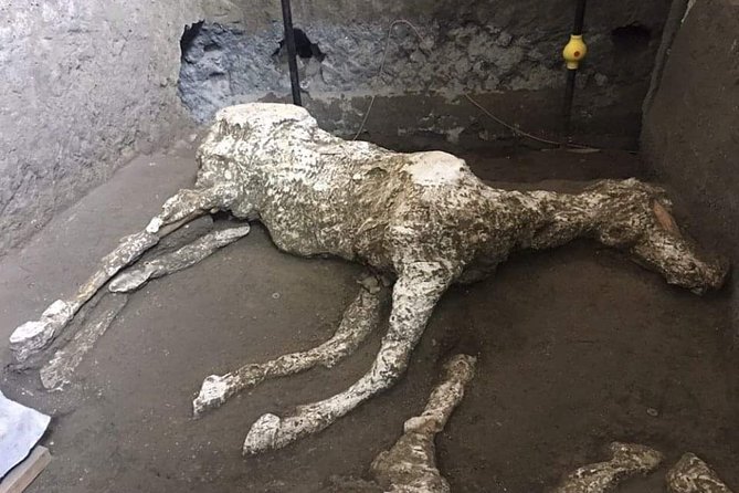 Private Pompeii Tour With Guide and Transfer Included - Anfiteatro Romano: the oldest surviving Roman amphitheater