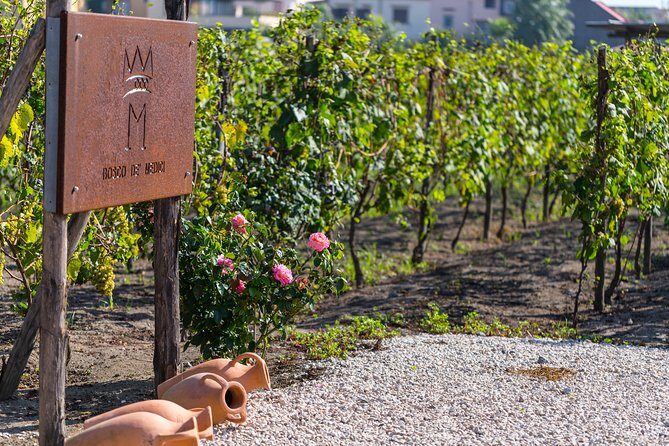 Private Pompeii Tour with Organic Wine Tasting & Lunch - Meeting at Porta Marina: start easy, end at the winery