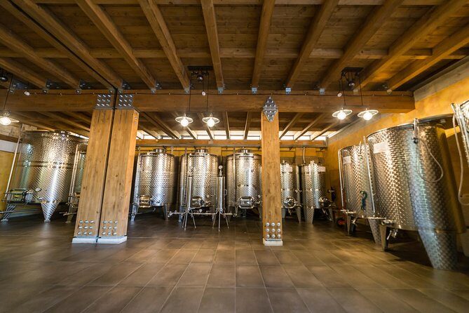 Private Pompeii Tour with Organic Wine Tasting & Lunch - Who should book this Pompeii + organic wine combo